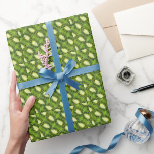 Papel De Regalo Patrón de fruta de Kiwi