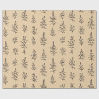 Papel De Regalo Patrón de hierbas botánicas vintage – Floral neutr