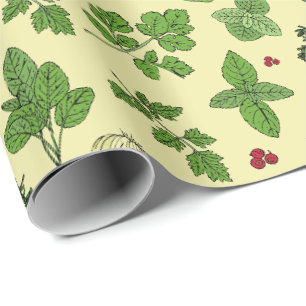 Papel De Regalo Patrón de hierbas culinarias de horticultura de ho