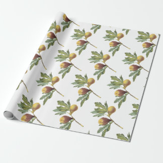 Papel De Regalo Patrón de higo