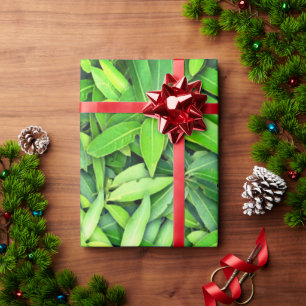 Papel De Regalo Patrón de hojas verdes frondosas - Naturaleza Botá