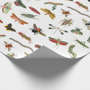 Papel De Regalo Patrón de Ilustracion de insectos de época colorid