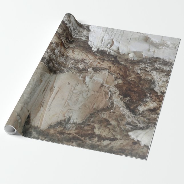 Papel De Regalo Patrón de la corteza de Birch (Desenrollado)