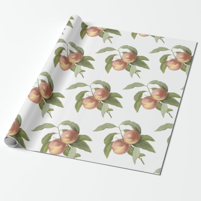 Papel De Regalo Patrón de melocotón (Desenrollado)