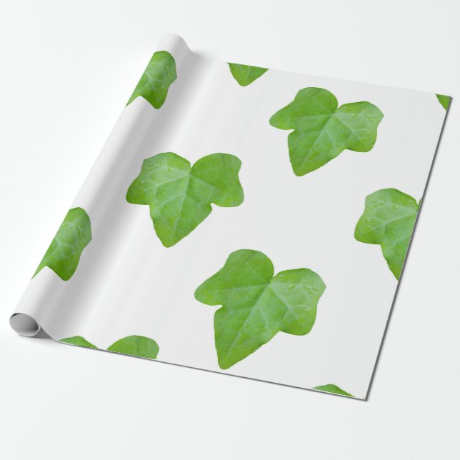 Papel De Regalo Patrón Ivy Leaf (Desenrollado)