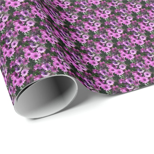 Papel De Regalo Patrón natural de las flores de margarita africana (Esquina del rollo)