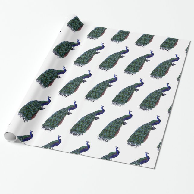 Papel De Regalo Pavo real hermoso (Desenrollado)