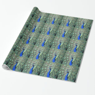 Papel De Regalo Pavo real orgulloso