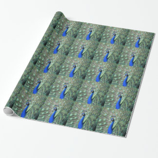 Papel De Regalo Pavo real orgulloso
