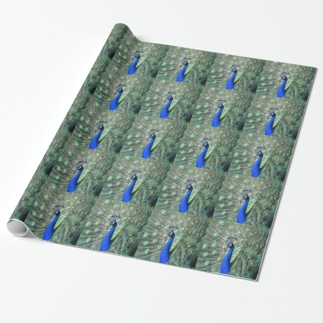 Papel De Regalo Pavo real orgulloso (Desenrollado)