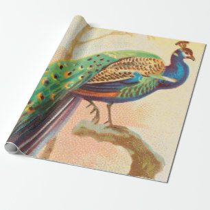 Papel De Regalo Pavo Real Vintage en una pintura de ramificación