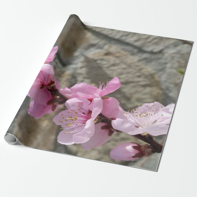 Papel De Regalo Peach petal flower (Desenrollado)