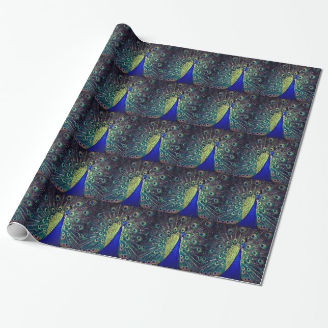Papel De Regalo Peacock azul cobalto (Desenrollado)