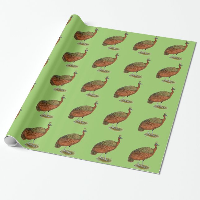 Papel De Regalo Peafowl: Congo Peahen (Desenrollado)
