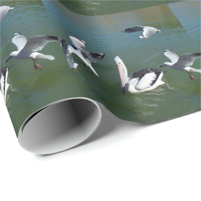 Papel De Regalo Pelican Y Los Crashers De La Puerta, (Esquina del rollo)