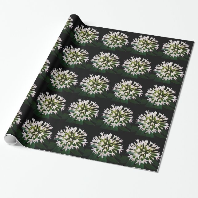 Papel De Regalo Pentas blancas (Desenrollado)
