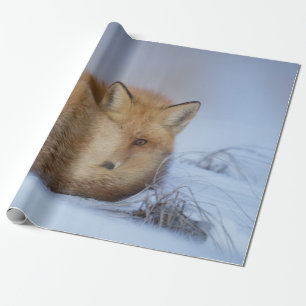 Papel De Regalo Pequeño Fox Maldita Foto De Invierno