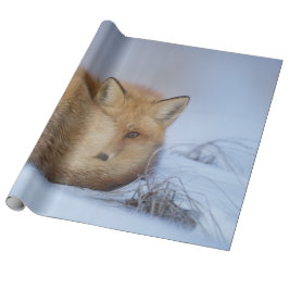 Papel De Regalo Pequeño Fox Maldita Foto De Invierno