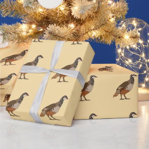 Papel De Regalo Perdiz Chukar Ave