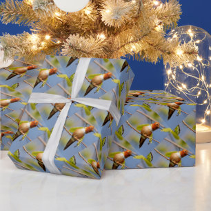 Papel De Regalo Perfil de un colibrí rufoso