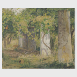 Papel De Regalo Pérgola Con Uvas De Vino (Paisaje De Viñedo)