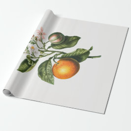 PAPEL DE REGALO PERIÓDICO DE RAPAS: BITTER NARANJA BLOSSOM