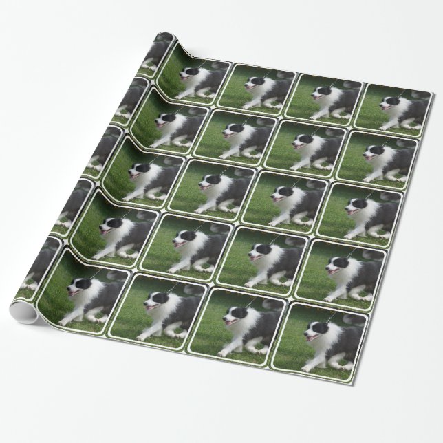 Papel De Regalo Perrito lindo del border collie (Desenrollado)