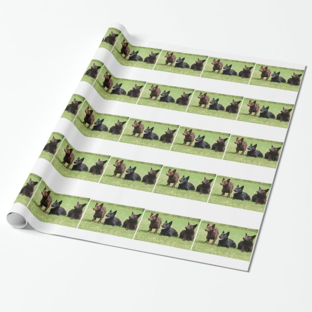 Papel De Regalo Perritos australianos del Kelpie (Desenrollado)