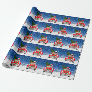 Papel De Regalo Perro Caniche Conduciendo Coche En Navidad Con Nie
