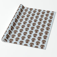 Perro Dachshund Chocolate Brown lindo de pelo larg