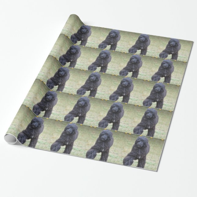 Papel De Regalo Perro de agua portugués negro (Desenrollado)