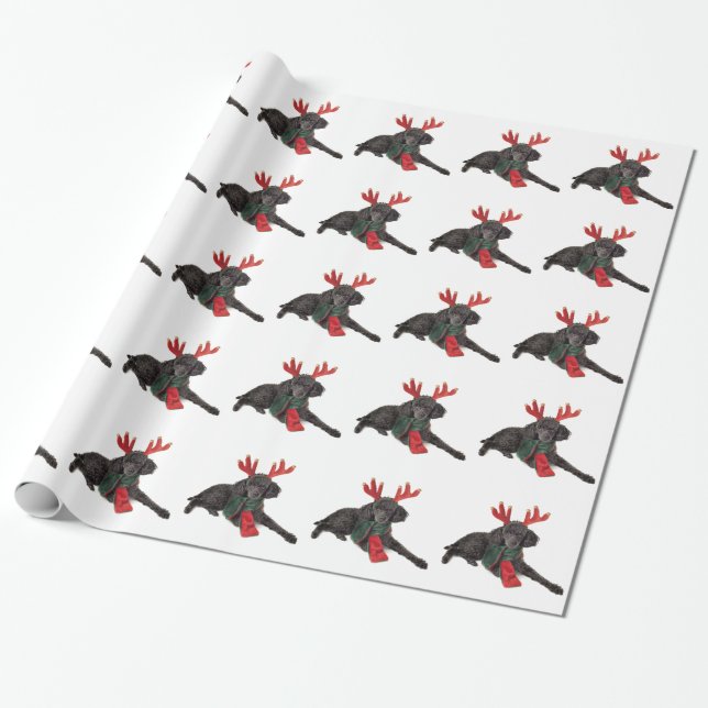 Papel De Regalo Perro de caniche negro de juguete del navidad (Desenrollado)