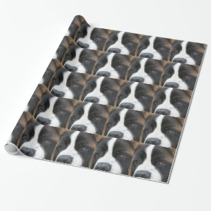 Papel De Regalo Perro de St Bernard