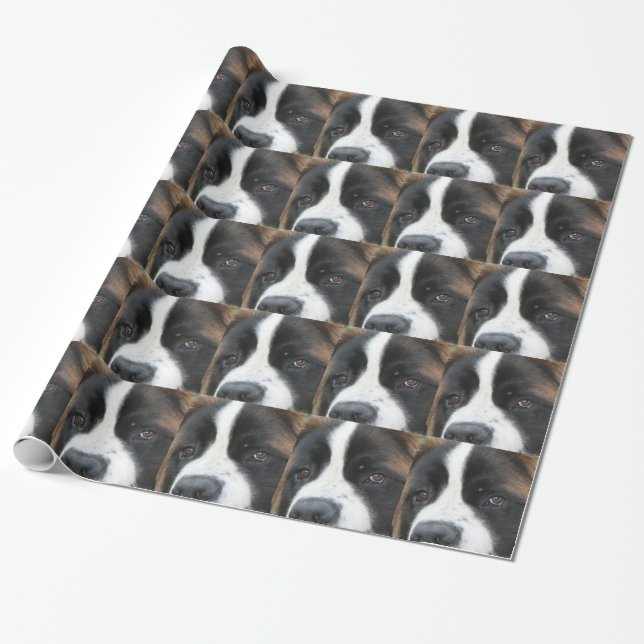 Papel De Regalo Perro de St Bernard (Desenrollado)