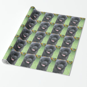 Papel De Regalo Perro de Terranova