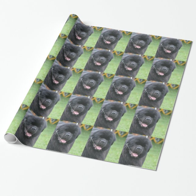 Papel De Regalo Perro de Terranova (Desenrollado)