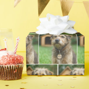 Papel De Regalo Perro Desgreñado Adoptado Con Casa Para Perros