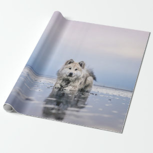 PAPEL DE REGALO PERRO EN CUERPO TRANQUILO DE AGUA
