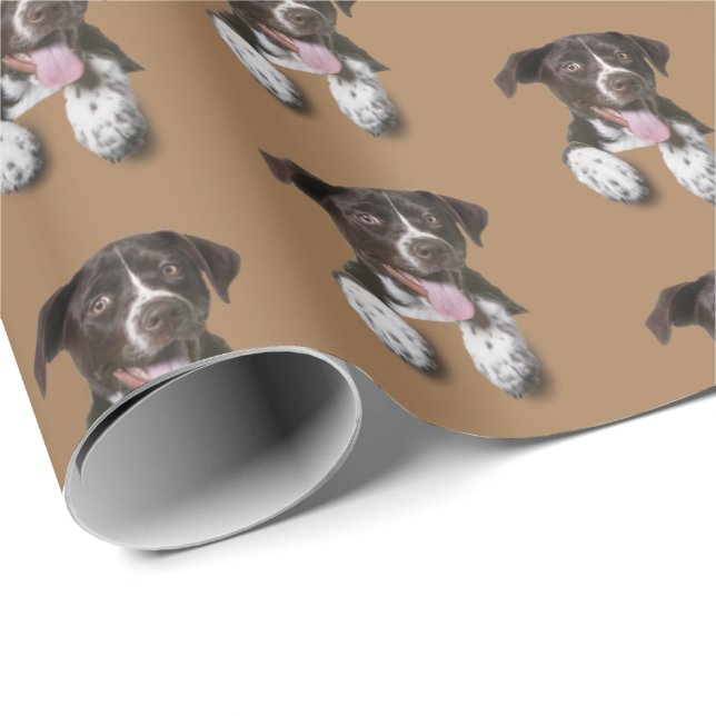 Papel De Regalo perro heound con marrón (Esquina del rollo)
