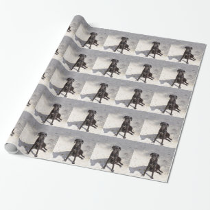 Papel De Regalo Perro negro con ojo malvado