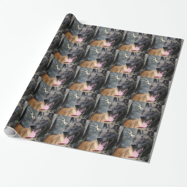 Papel De Regalo Perro sonriente de Malinois del belga (Desenrollado)
