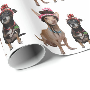 Papel De Regalo Perros de la chihuahua en gorras