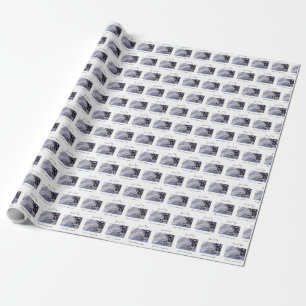 Papel De Regalo Personaliza, Niño, Primera Comunión Azul
