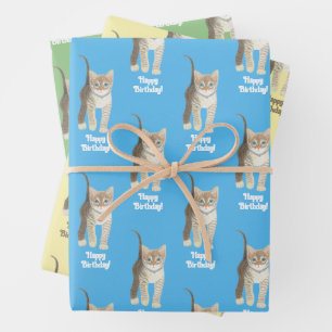 Papel de regalo personalizable de gatito atigrado