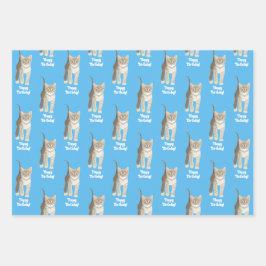Papel de regalo personalizable de gatito atigrado