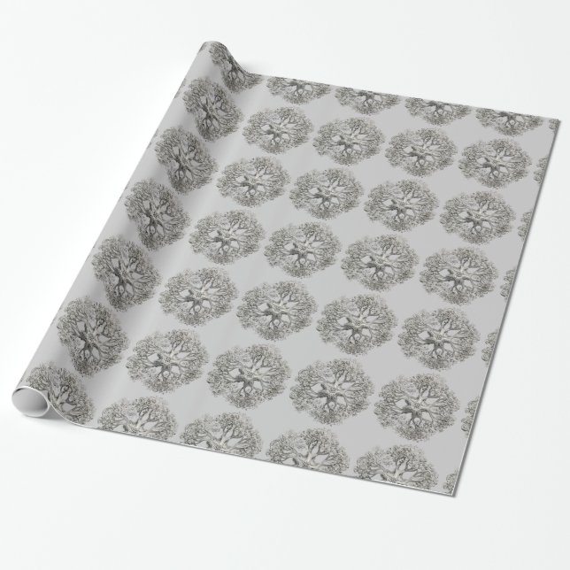 Papel De Regalo Personalizable Haeckel (Desenrollado)