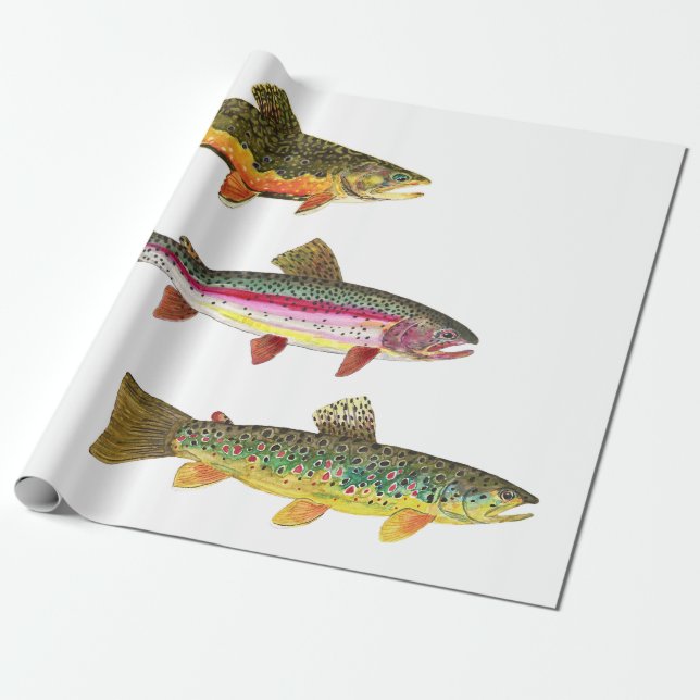 Papel De Regalo Pesca de trucha - Brook, Brown, Arcoiris (Desenrollado)
