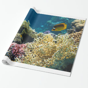 Papel De Regalo Pescados amarillos y negros de la mariposa