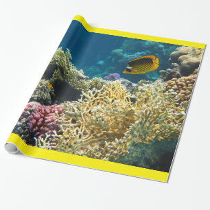 Papel De Regalo Pescados amarillos y negros de la mariposa
