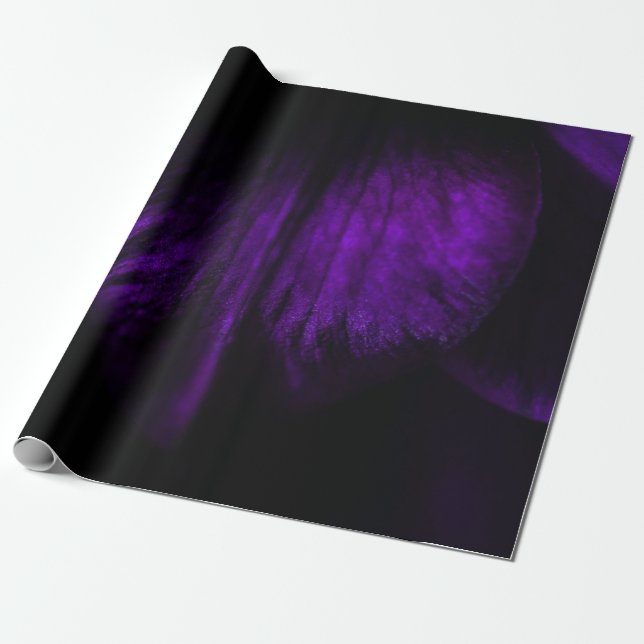 Papel De Regalo Pétalo de flor morada (Desenrollado)